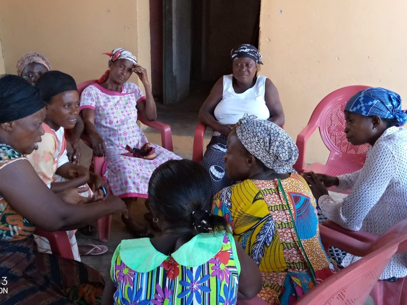 IMG_20191129_121925_7 IMG_20191129_121925_7